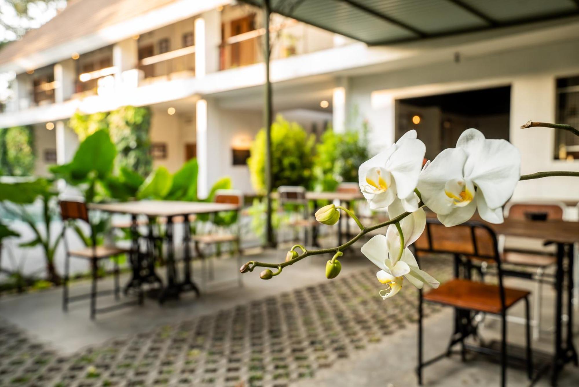Hotel Blambangan Banyuwangi  Exterior foto